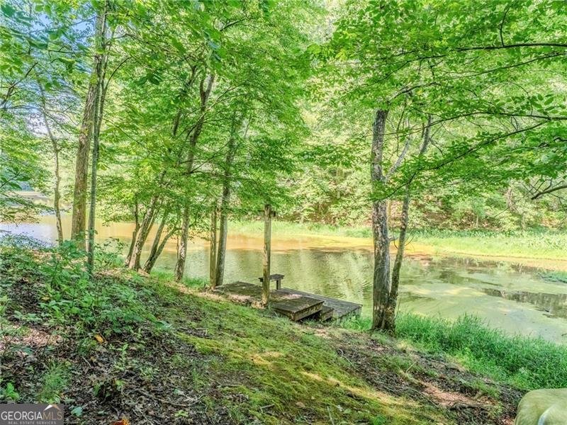 805 Old Mill Court Ball Ground - 92