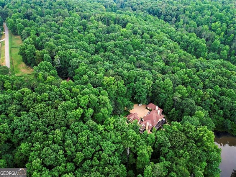 805 Old Mill Court Ball Ground - 93