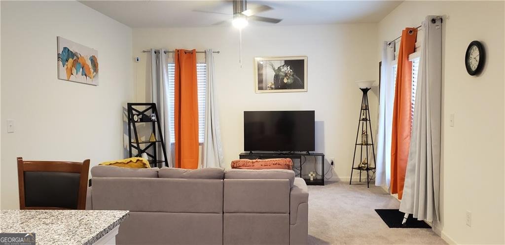 115 Chesapeake Bay Drive Locust Grove - 9