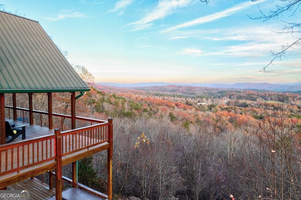 588 Tower Road Mineral Bluff - 12