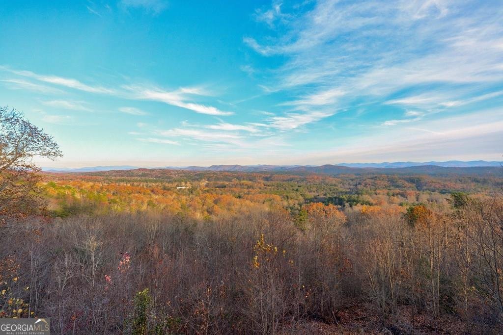 588 Tower Road Mineral Bluff - 31