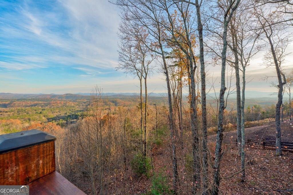 588 Tower Road Mineral Bluff - 38