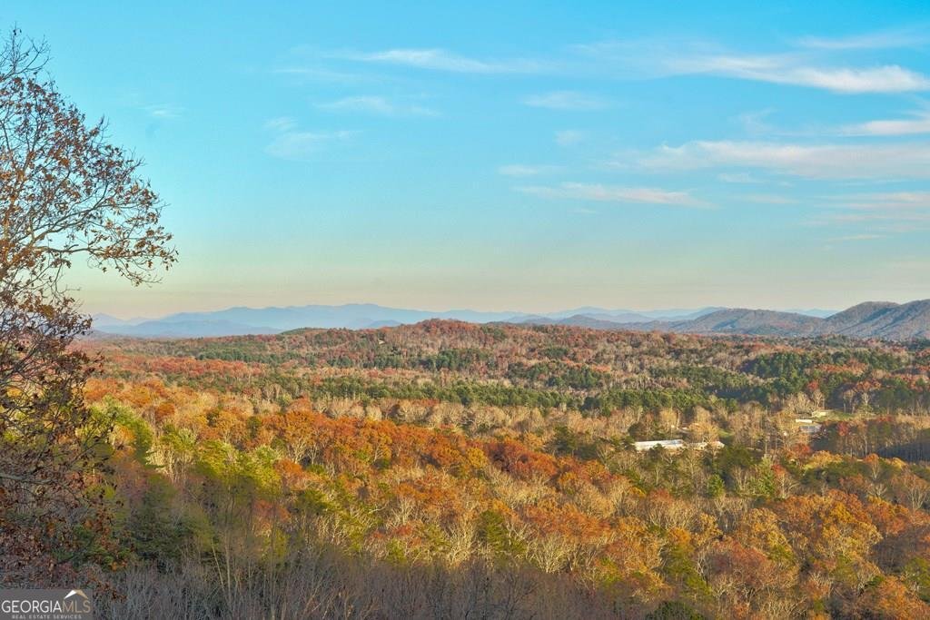 588 Tower Road Mineral Bluff - 39