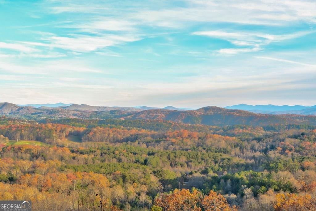 588 Tower Road Mineral Bluff - 41