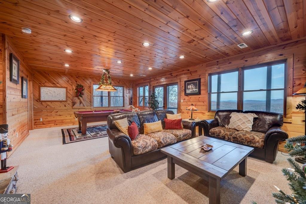 588 Tower Road Mineral Bluff - 53