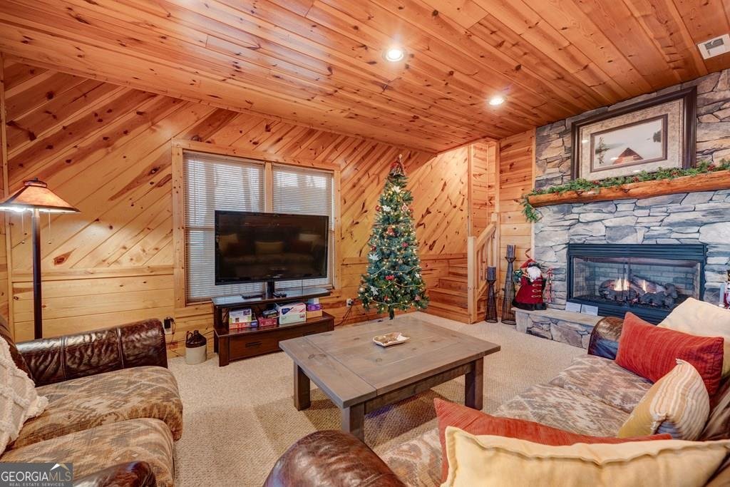 588 Tower Road Mineral Bluff - 56