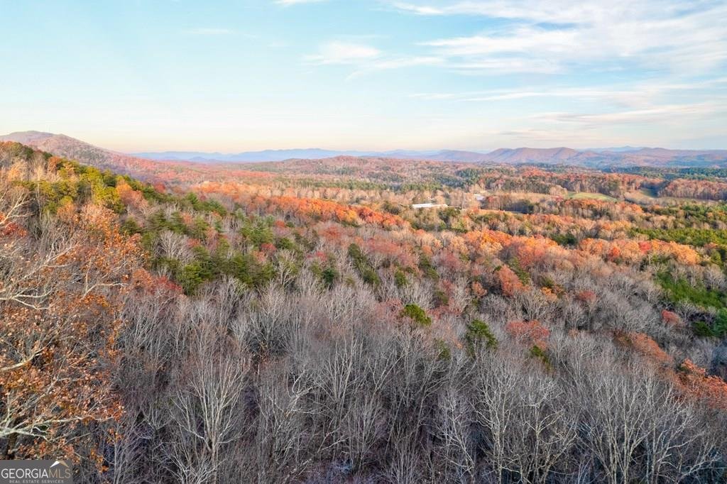 588 Tower Road Mineral Bluff - 7