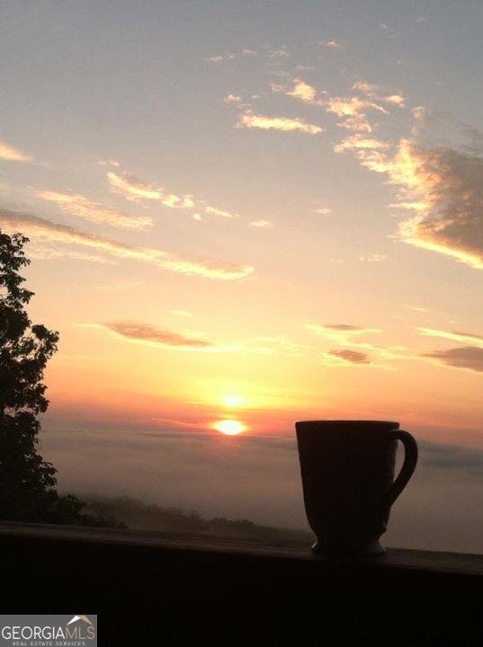 588 Tower Road Mineral Bluff - 70