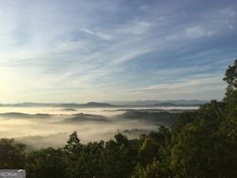 588 Tower Road Mineral Bluff - 73