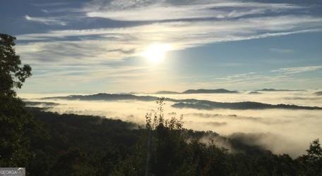 588 Tower Road Mineral Bluff - 74