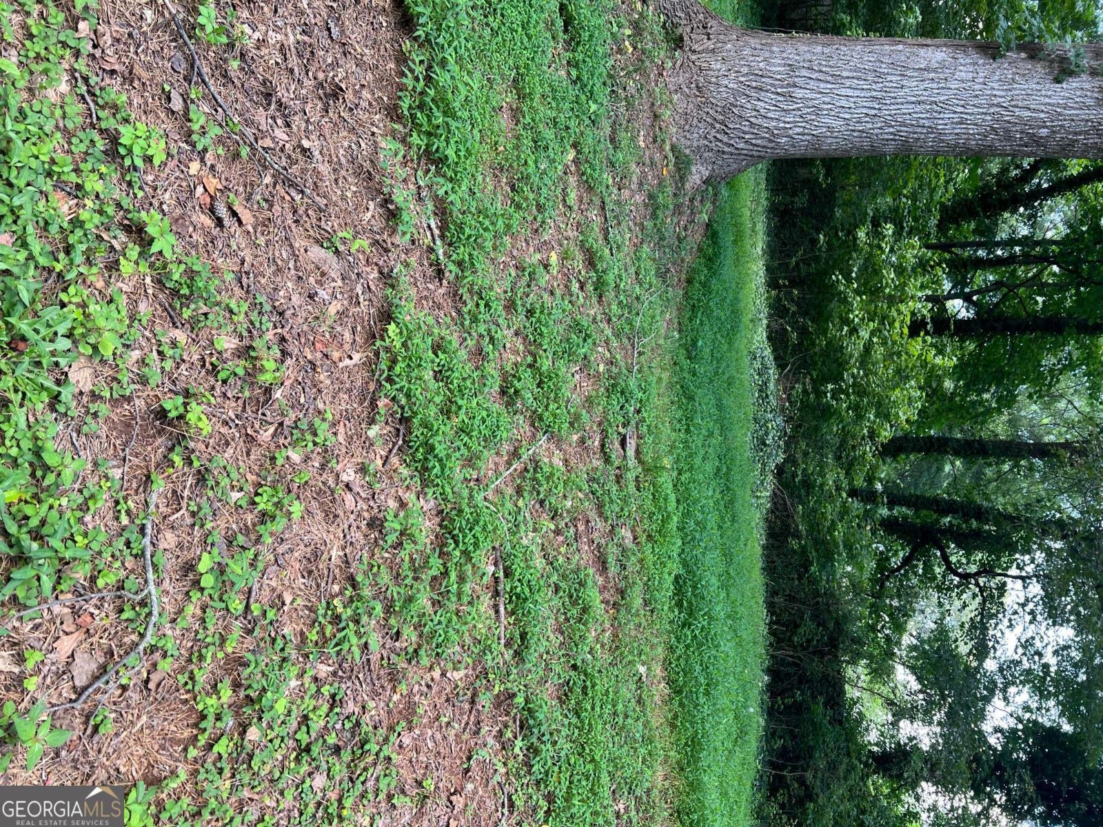 104 Southfork Drive Woodstock - 23