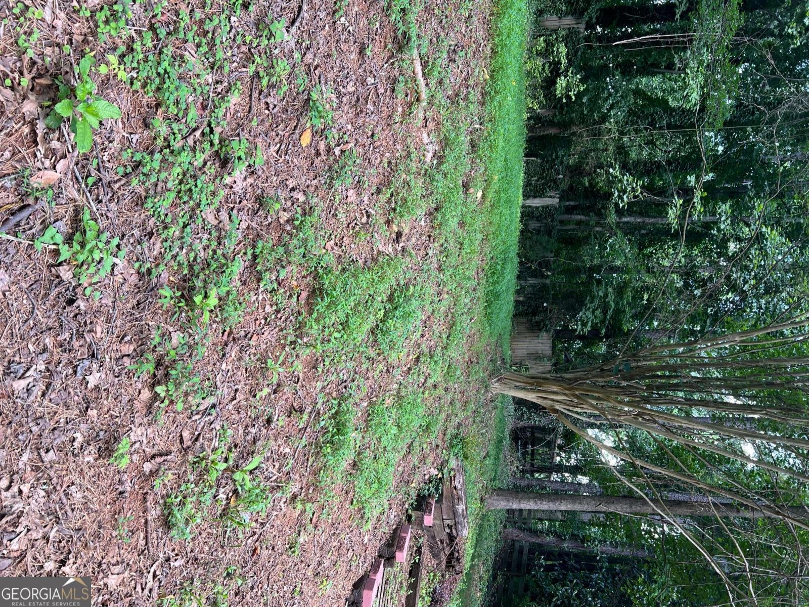 104 Southfork Drive Woodstock - 24