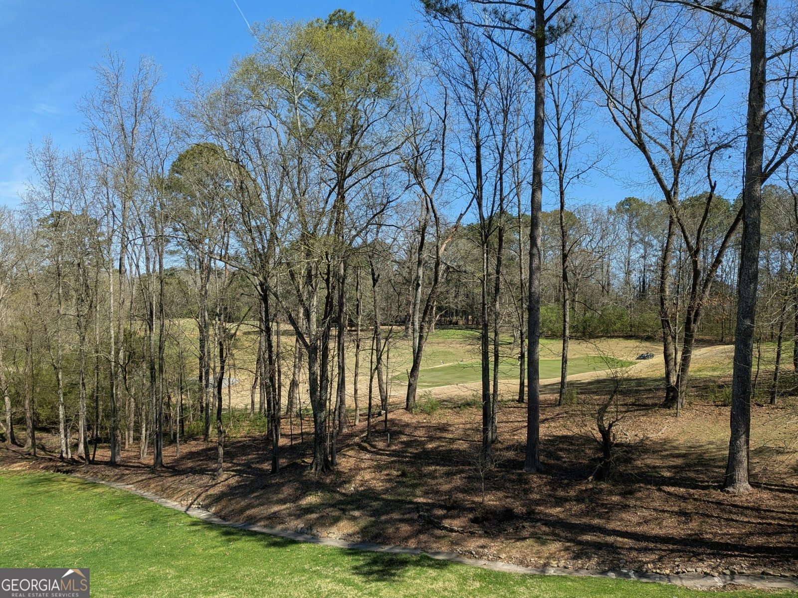 355 Golf View Drive Cohutta - Photo 50