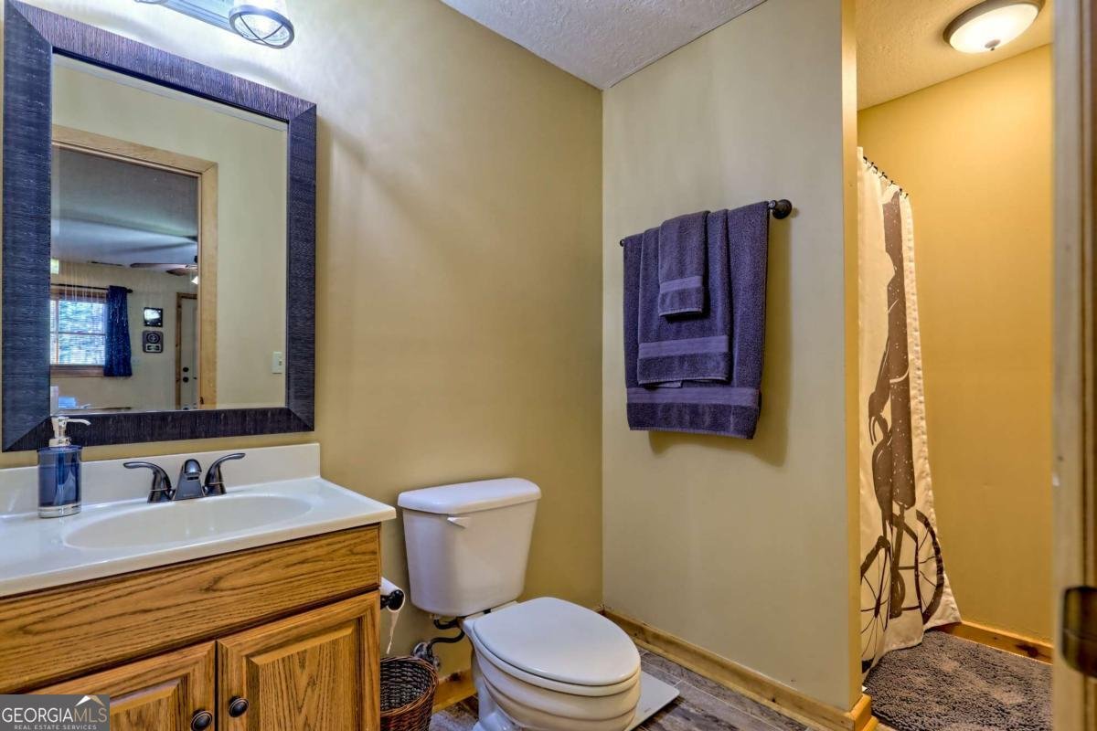 110 Souther Springs Drive Blairsville - 38