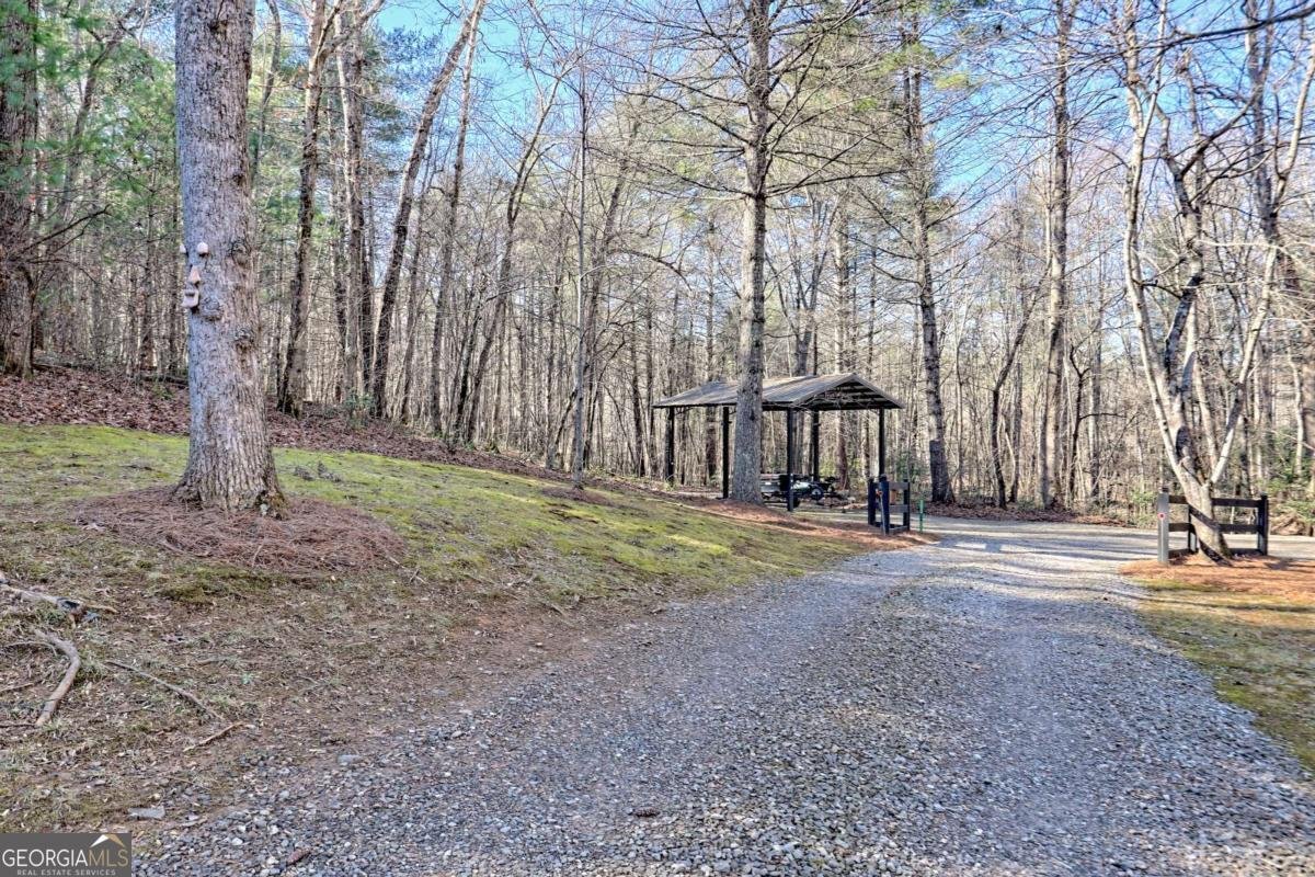 110 Souther Springs Drive Blairsville - 62