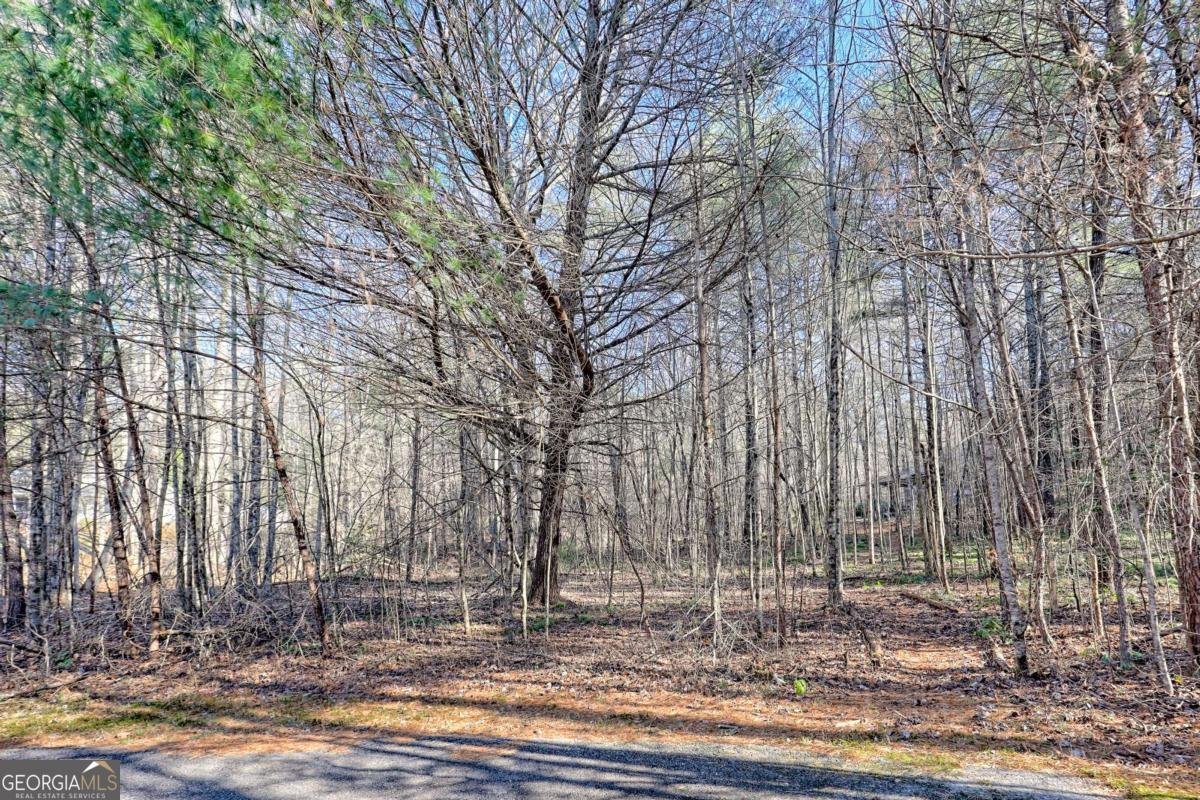 110 Souther Springs Drive Blairsville - 64