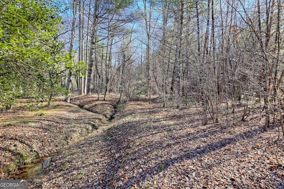 110 Souther Springs Drive Blairsville - 65