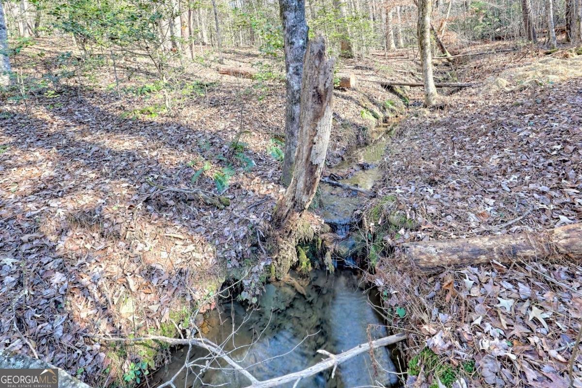 110 Souther Springs Drive Blairsville - 66