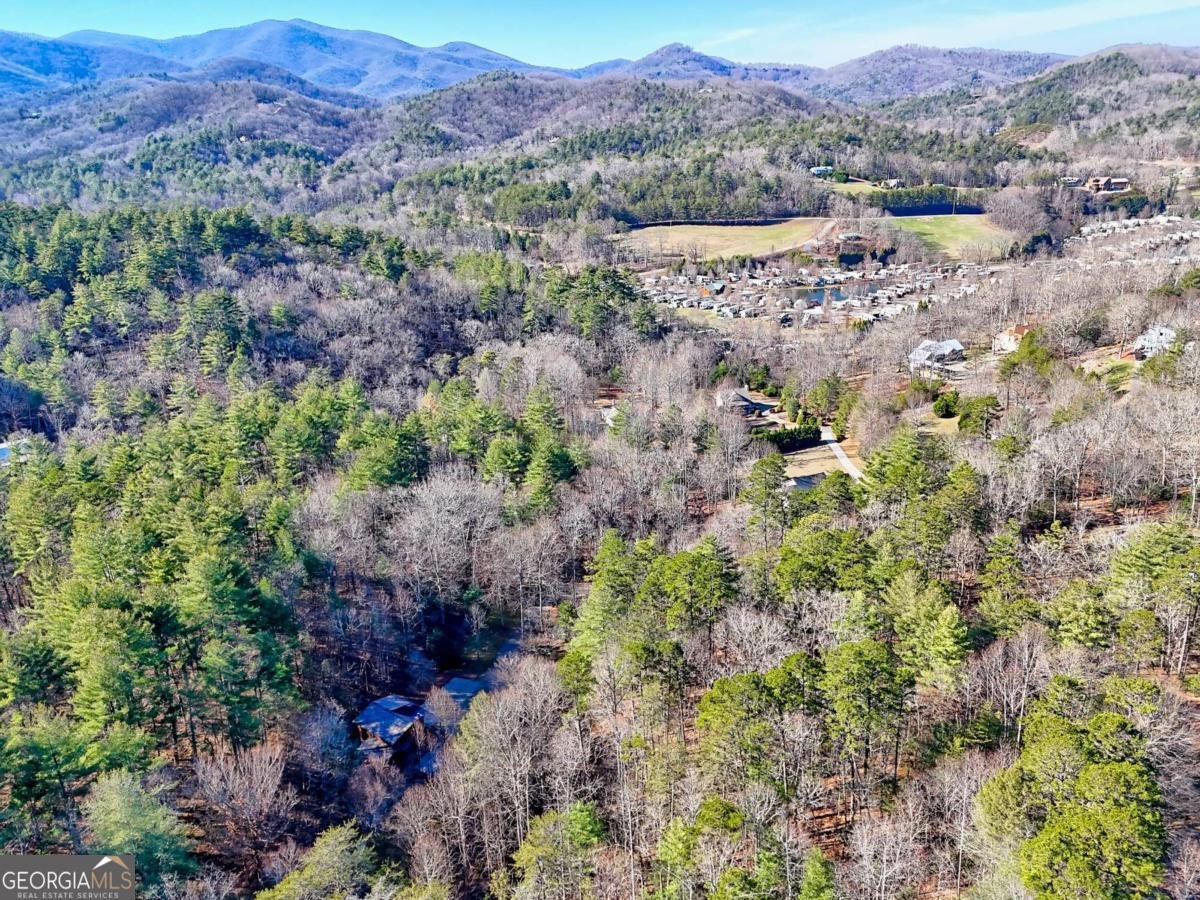 110 Souther Springs Drive Blairsville - 69