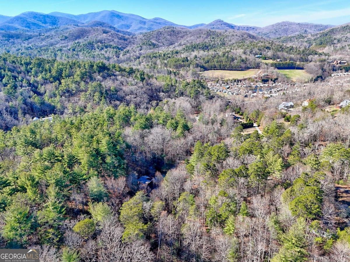 110 Souther Springs Drive Blairsville - 73
