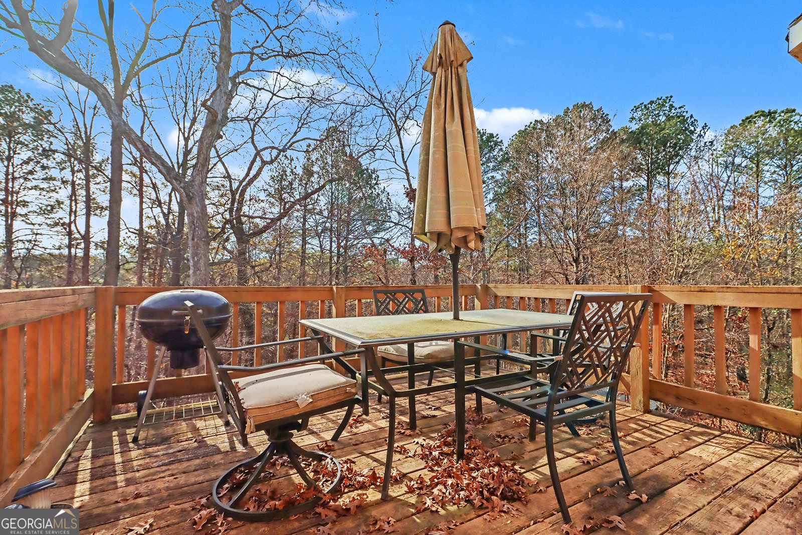 3643 John Carrol Drive Decatur - 25