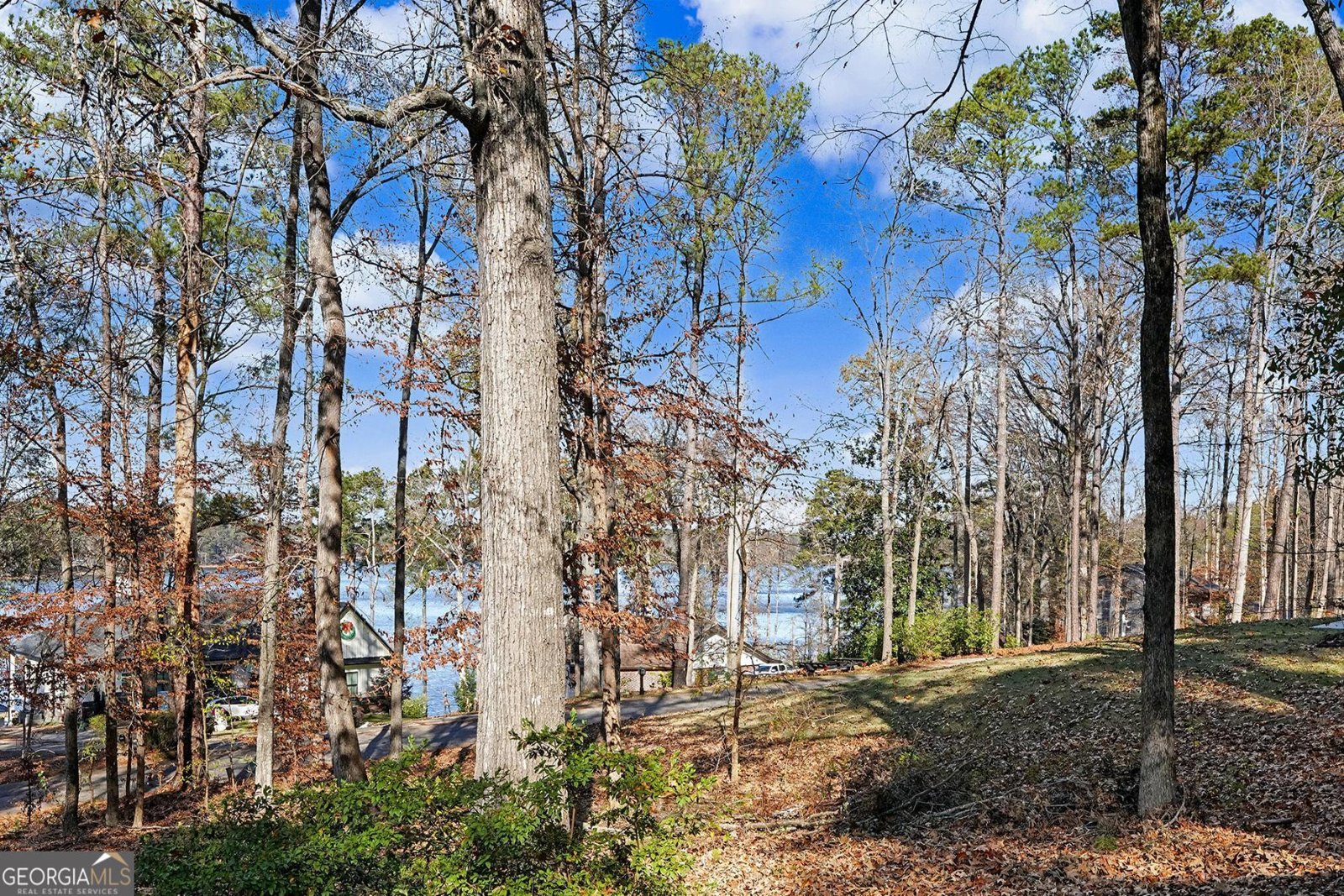 439 Starling Drive Monticello - 27