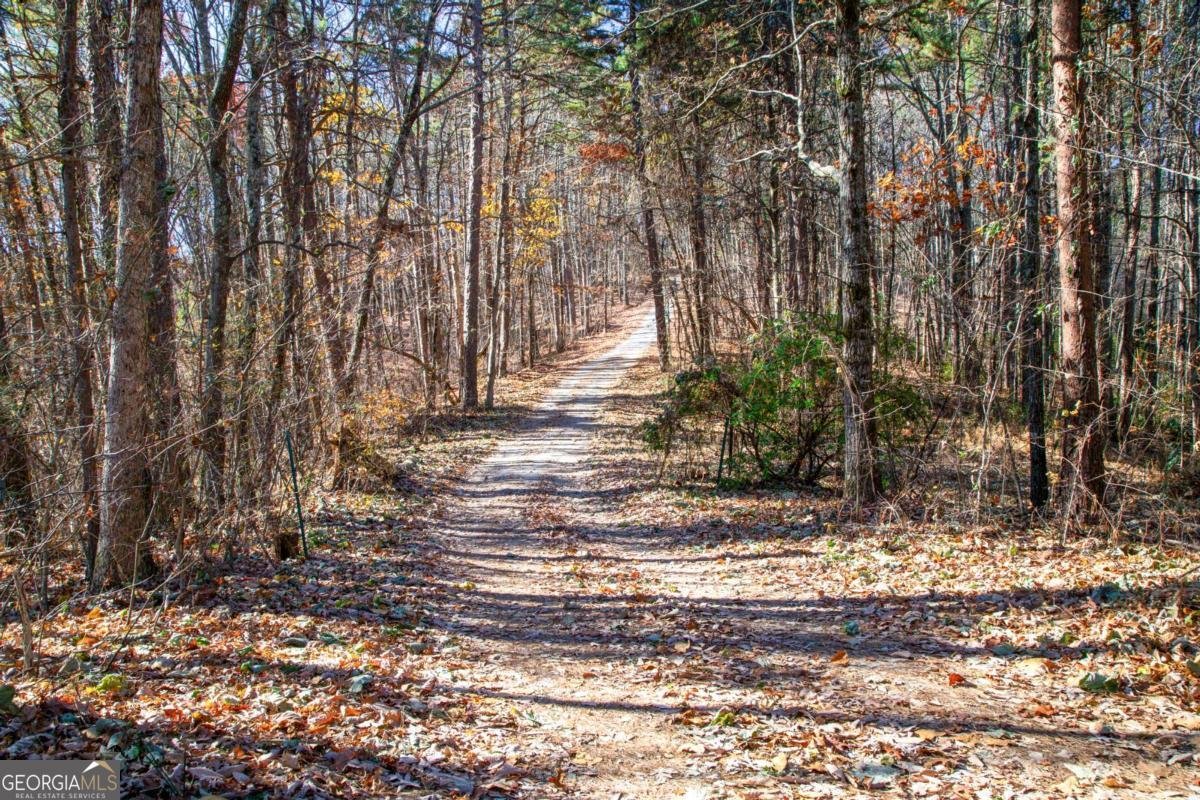 119 Waldrip Drive Dawsonville - 14