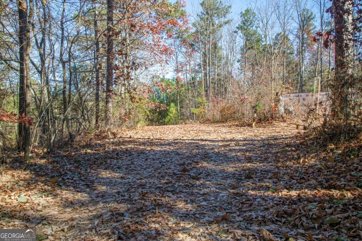 119 Waldrip Drive Dawsonville - 15