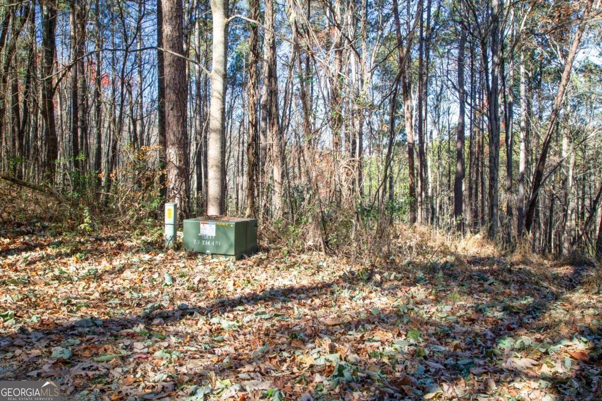 119 Waldrip Drive Dawsonville - 16