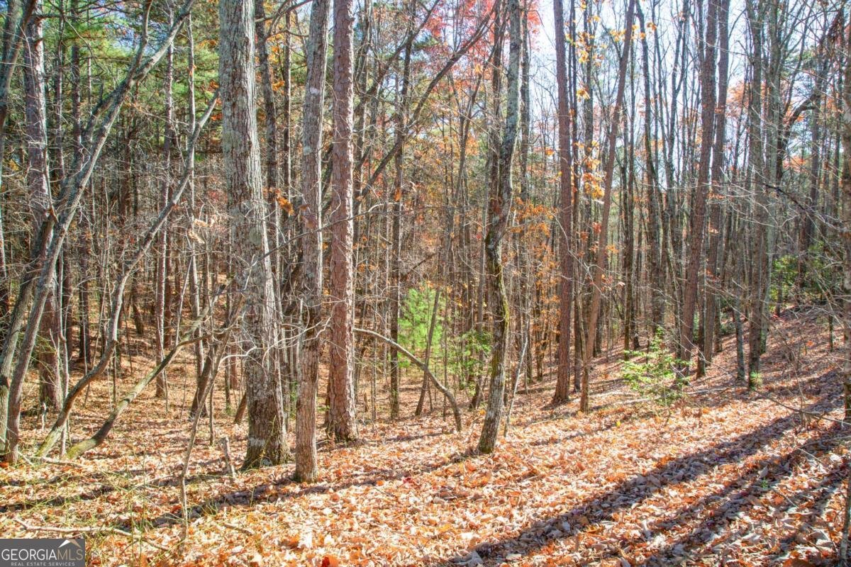 119 Waldrip Drive Dawsonville - 17