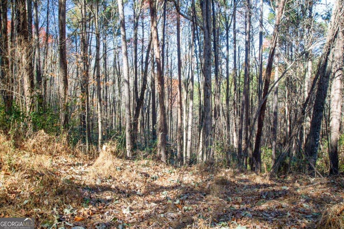 119 Waldrip Drive Dawsonville - 20