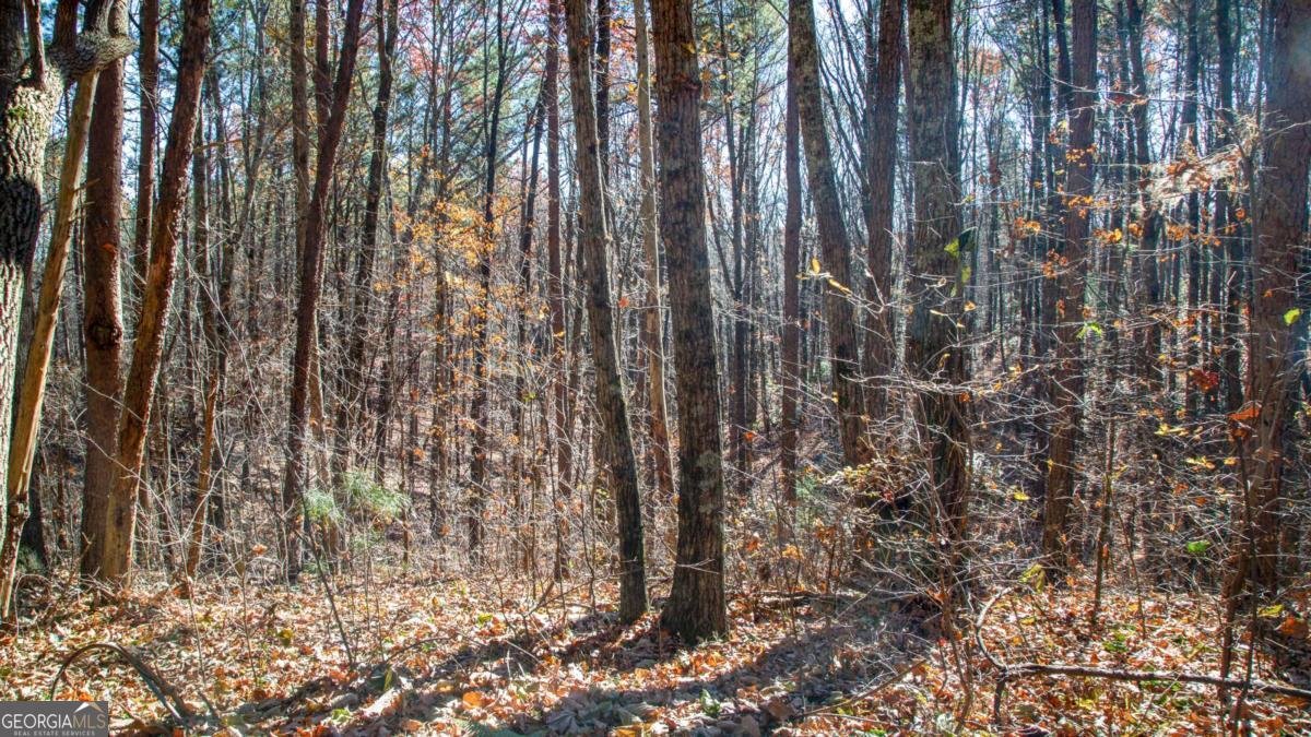 119 Waldrip Drive Dawsonville - 21