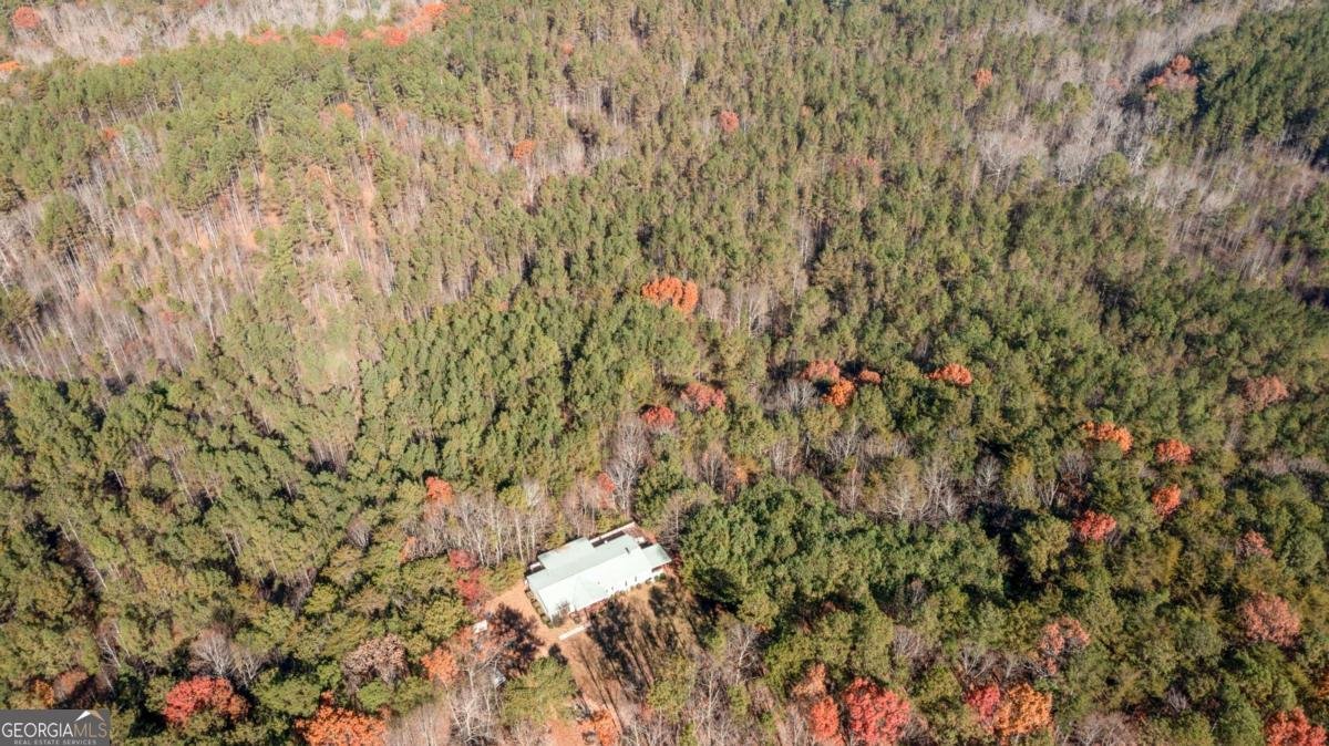 119 Waldrip Drive Dawsonville - 22