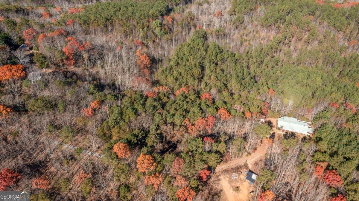 119 Waldrip Drive Dawsonville - 23