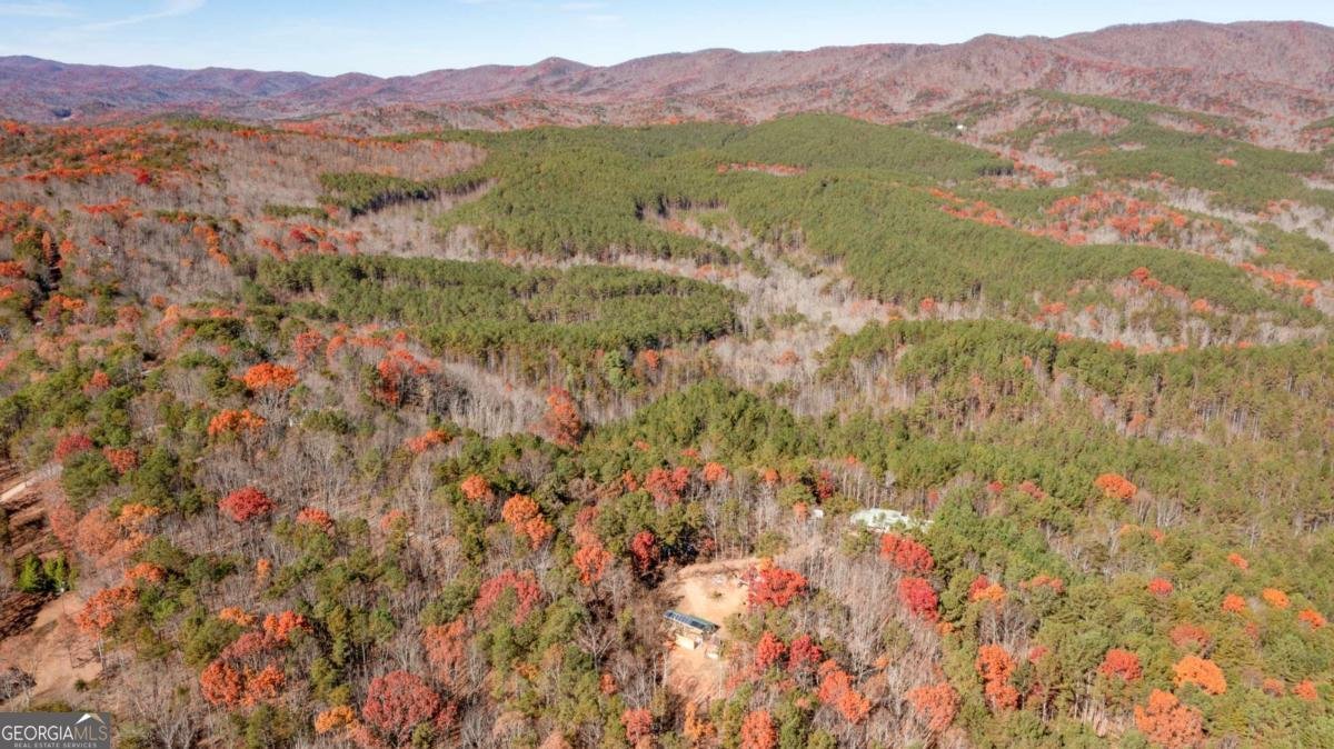 119 Waldrip Drive Dawsonville - 24