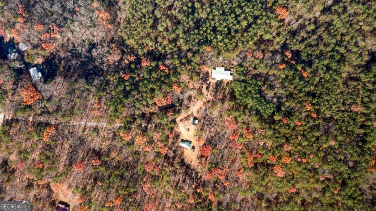 119 Waldrip Drive Dawsonville - 25