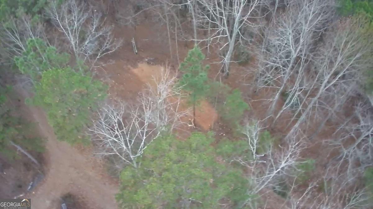 119 Waldrip Drive Dawsonville - 27