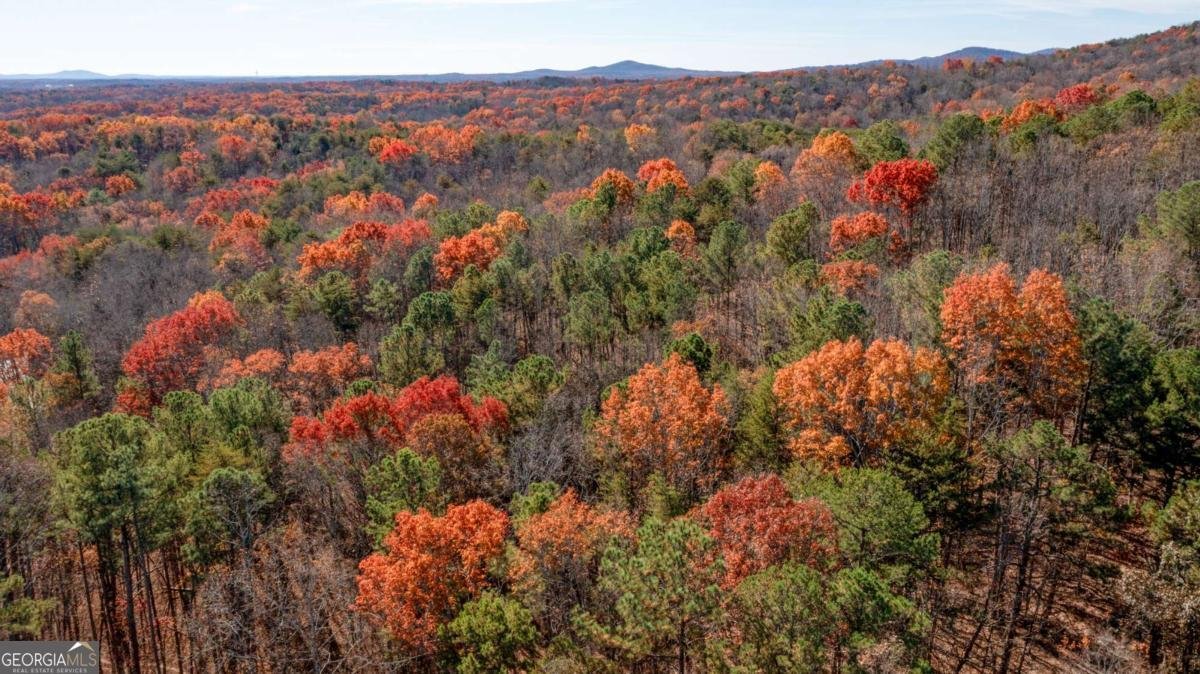 119 Waldrip Drive Dawsonville - 28