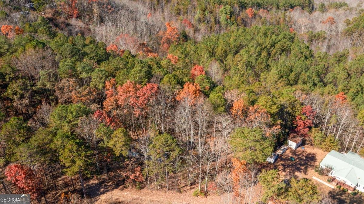 119 Waldrip Drive Dawsonville - 29