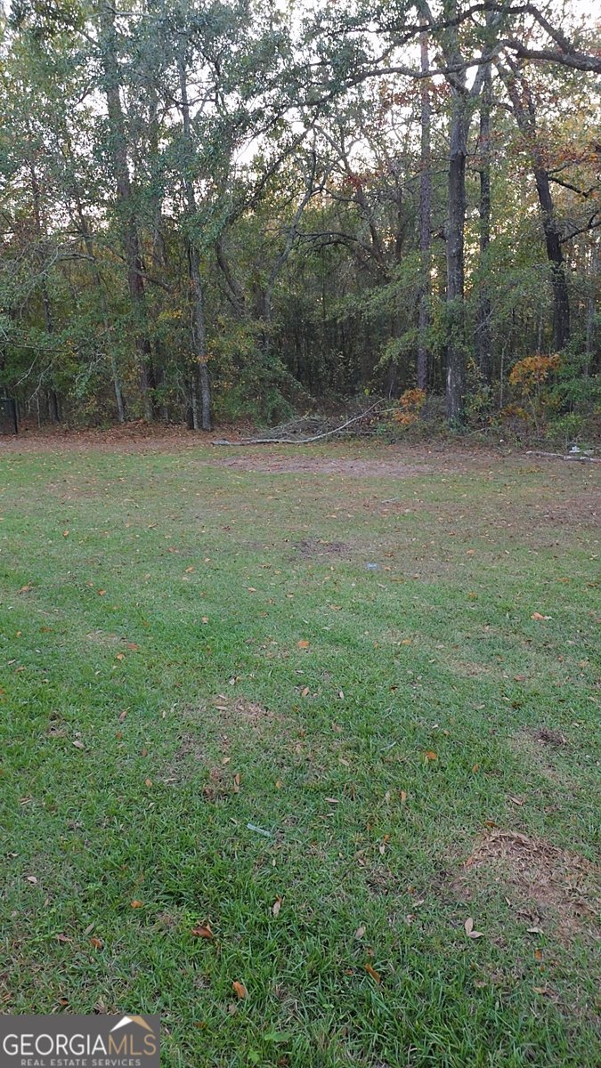 205 Stirrup Lane Thomasville - 9