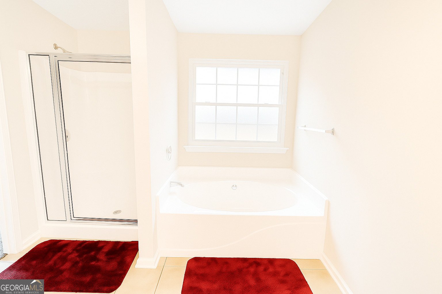 3847 Cove Top Court Loganville - 17