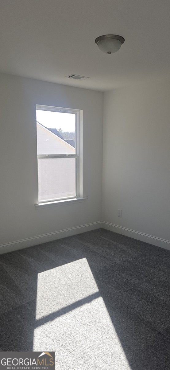 5647 Chickory Drive Flowery Branch - 17