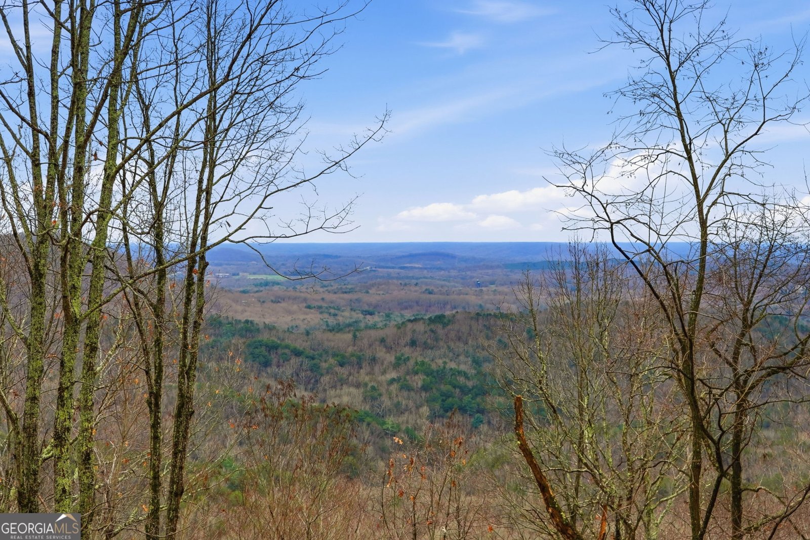 1220 Walnut Ridge Ellijay - 2