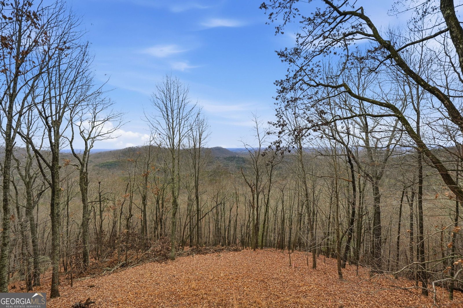 1220 Walnut Ridge Ellijay - 40