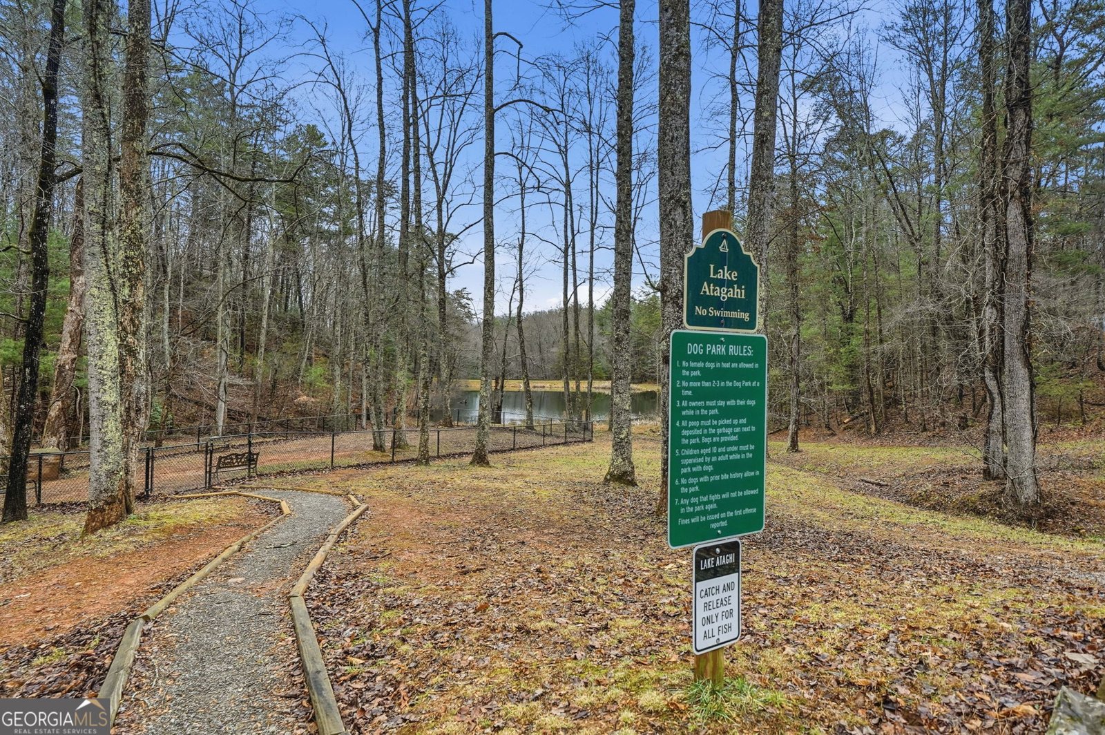 1220 Walnut Ridge Ellijay - 43