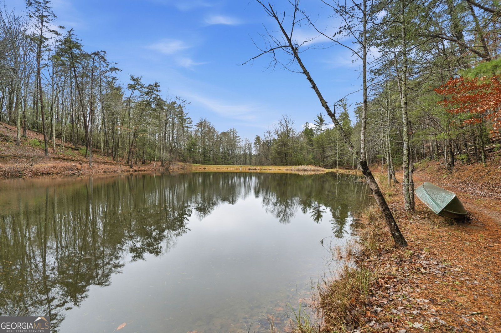 1220 Walnut Ridge Ellijay - 45