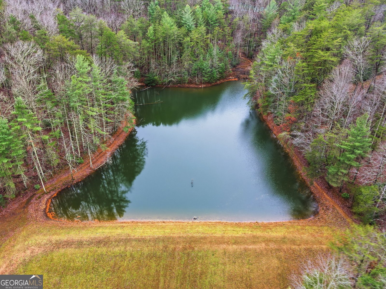 1220 Walnut Ridge Ellijay - 50