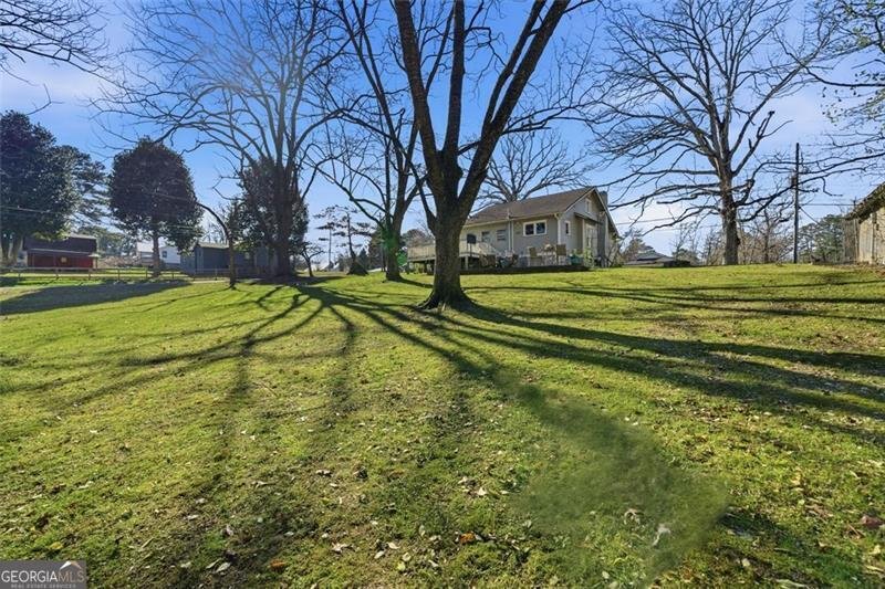 233 GEORGIANNA Jasper - 27