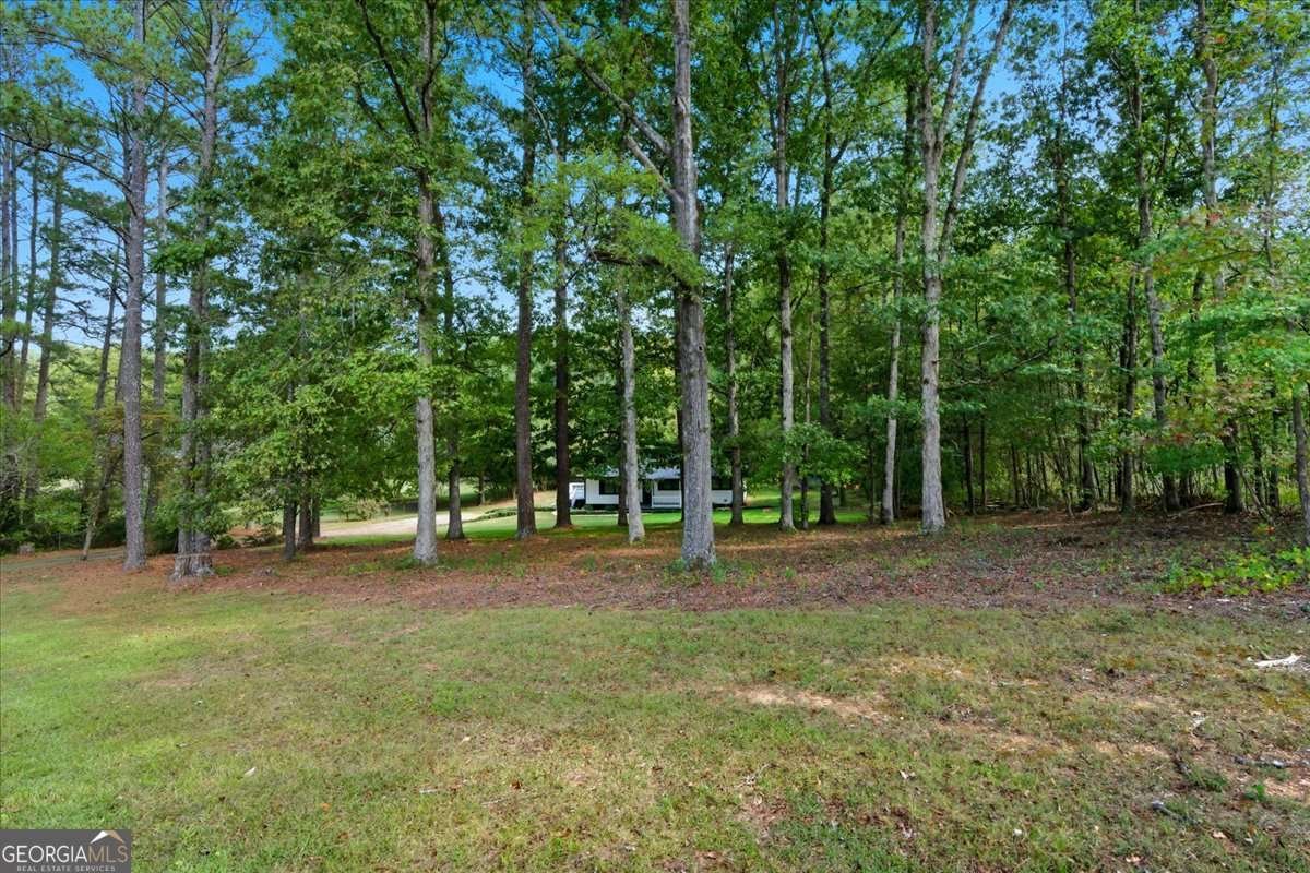 97 GADDIS Road Cartersville - 8