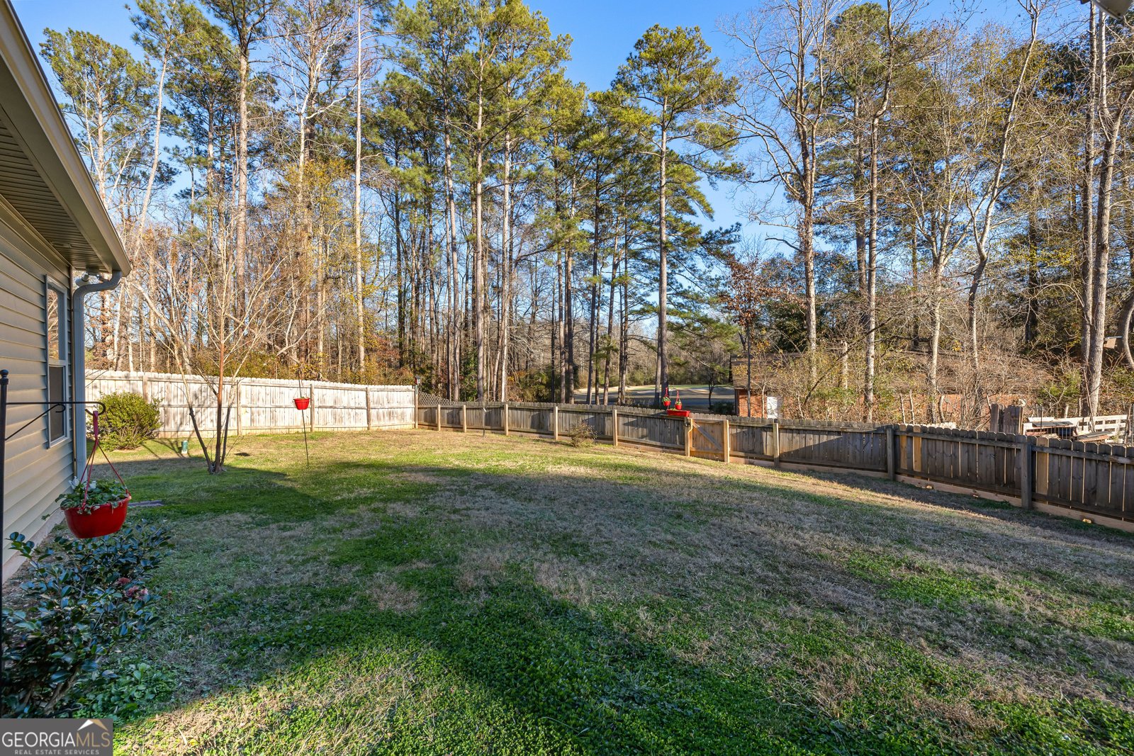 4 Buttonbush Court Newnan - 38
